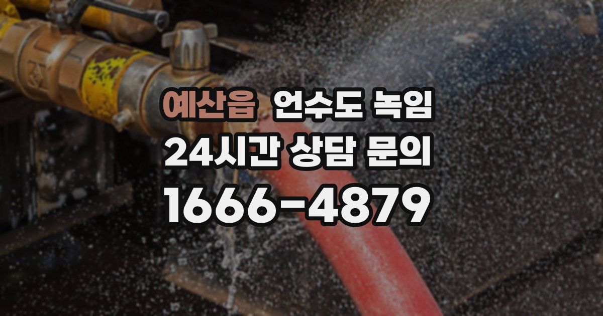 예산읍 언수도 녹임