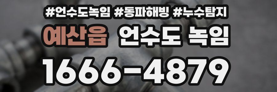 예산읍 언수도 녹임