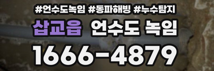 삽교읍 언수도 녹임