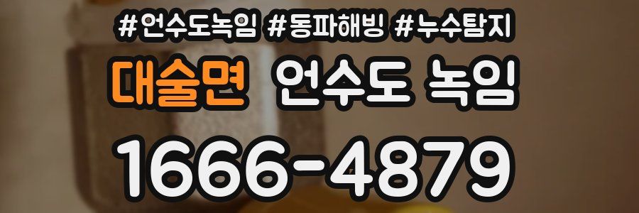 대술면 언수도 녹임