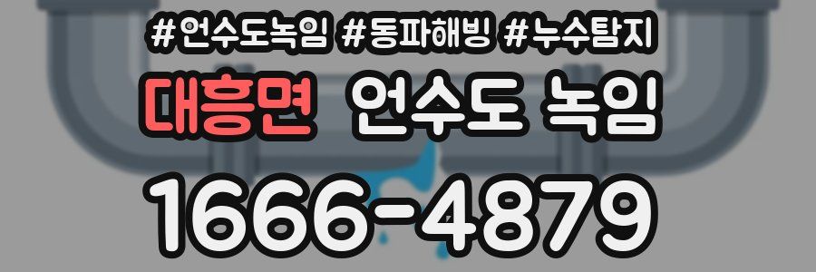 대흥면 언수도 녹임