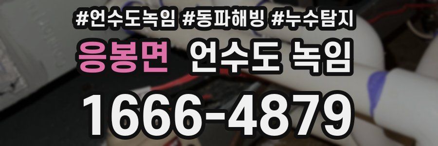 응봉면 언수도 녹임