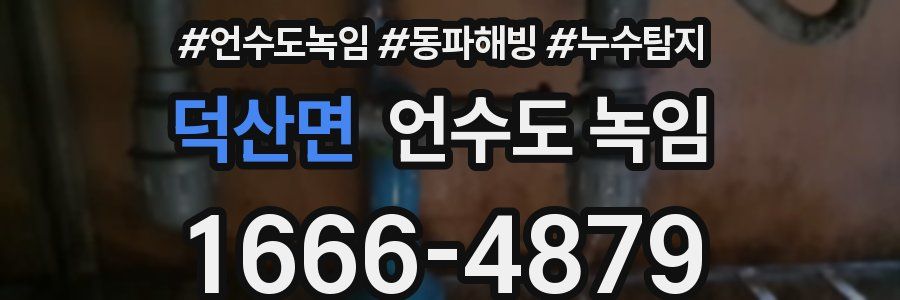 덕산면 언수도 녹임