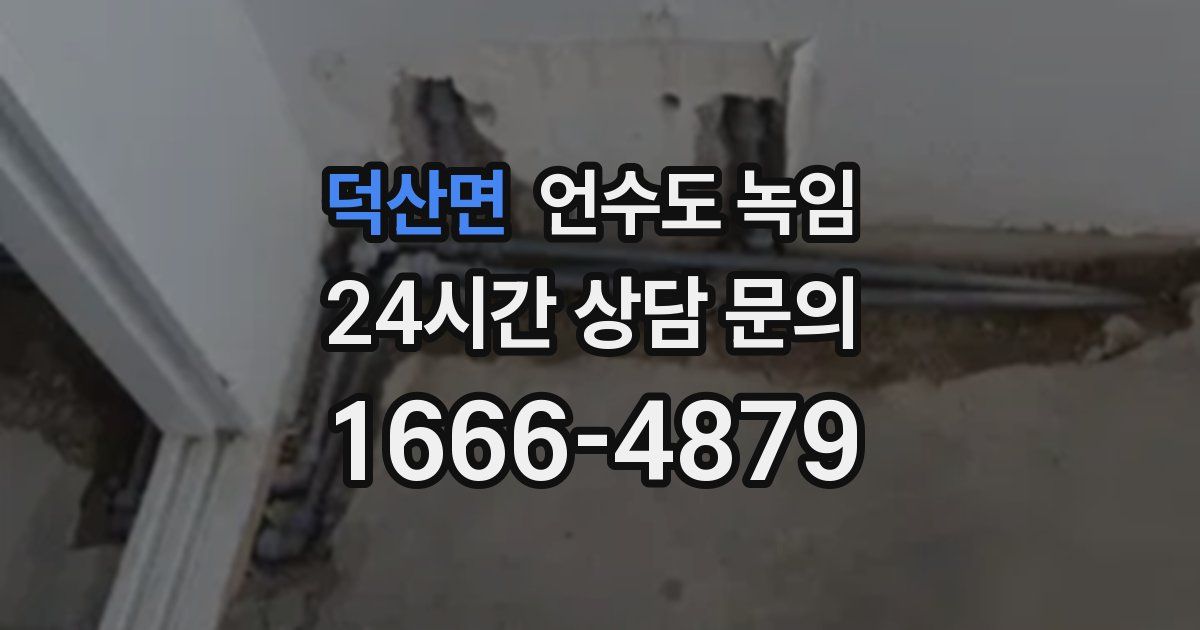덕산면 언수도 녹임