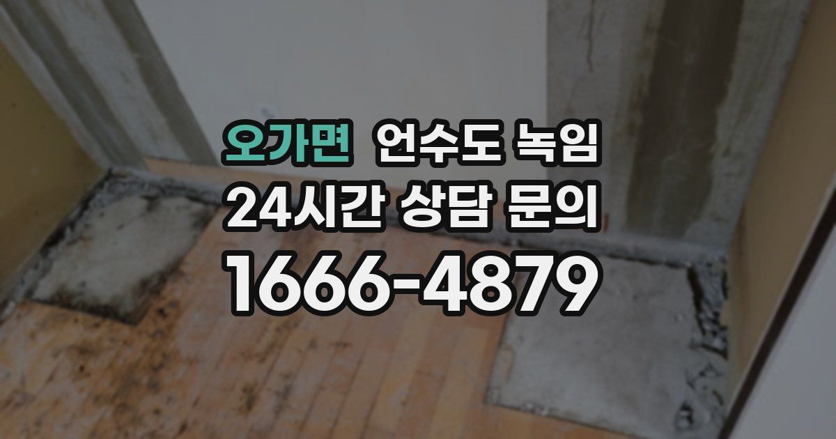 오가면 언수도 녹임