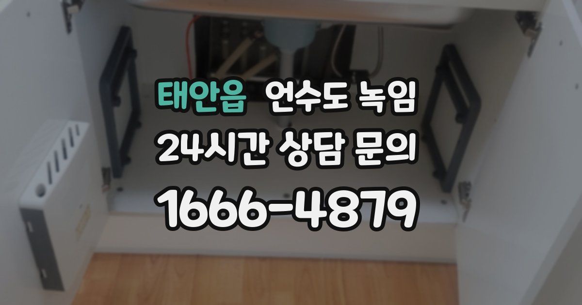 태안읍 언수도 녹임