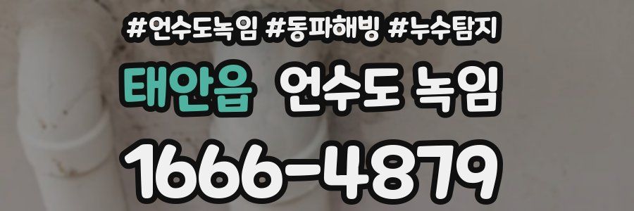 태안읍 언수도 녹임