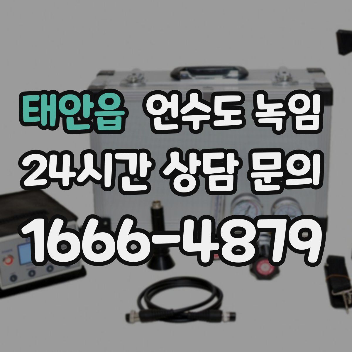 태안읍 언수도 녹임