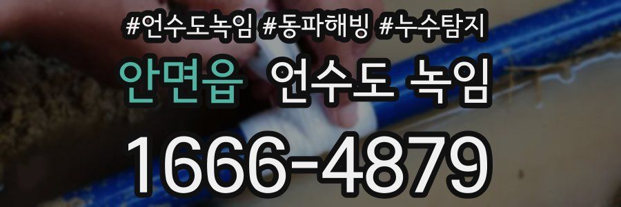 안면읍 언수도 녹임