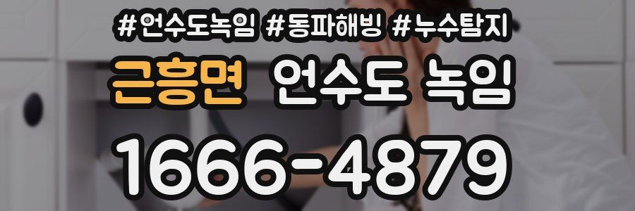 근흥면 언수도 녹임