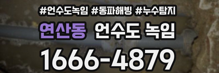 연산동 언수도 녹임