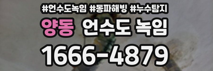 양동 언수도 녹임