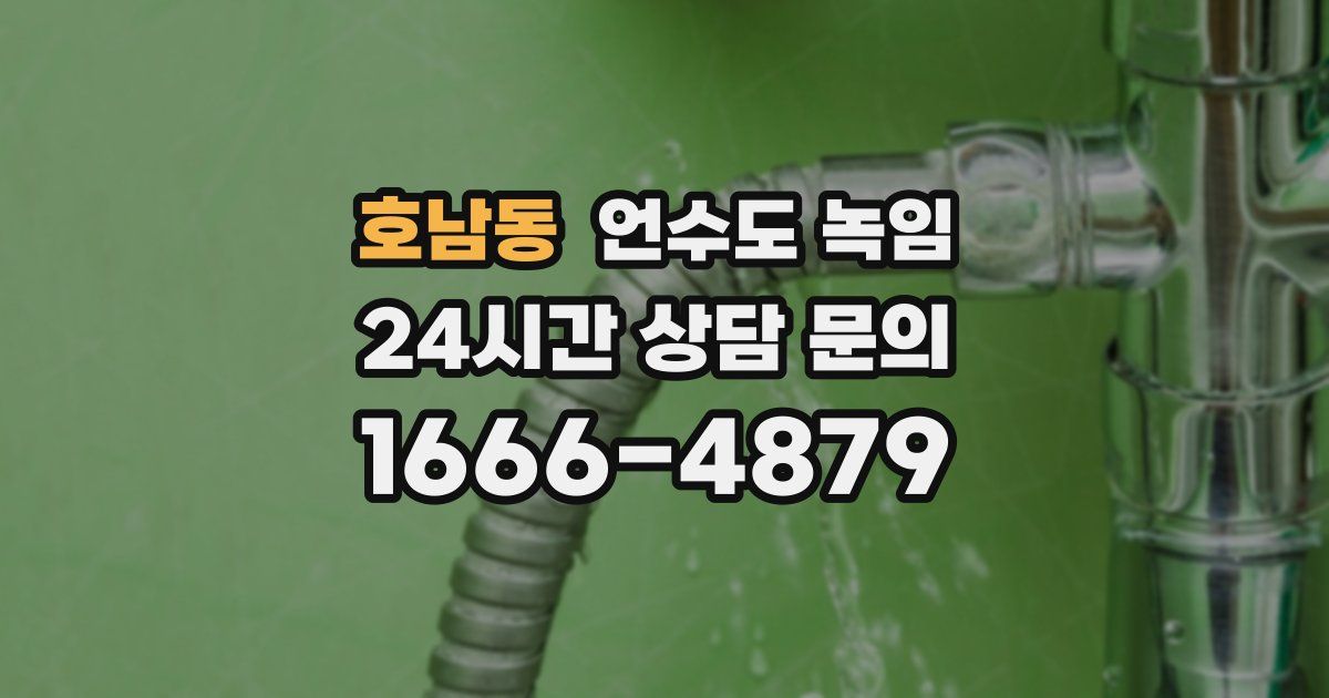 호남동 언수도 녹임