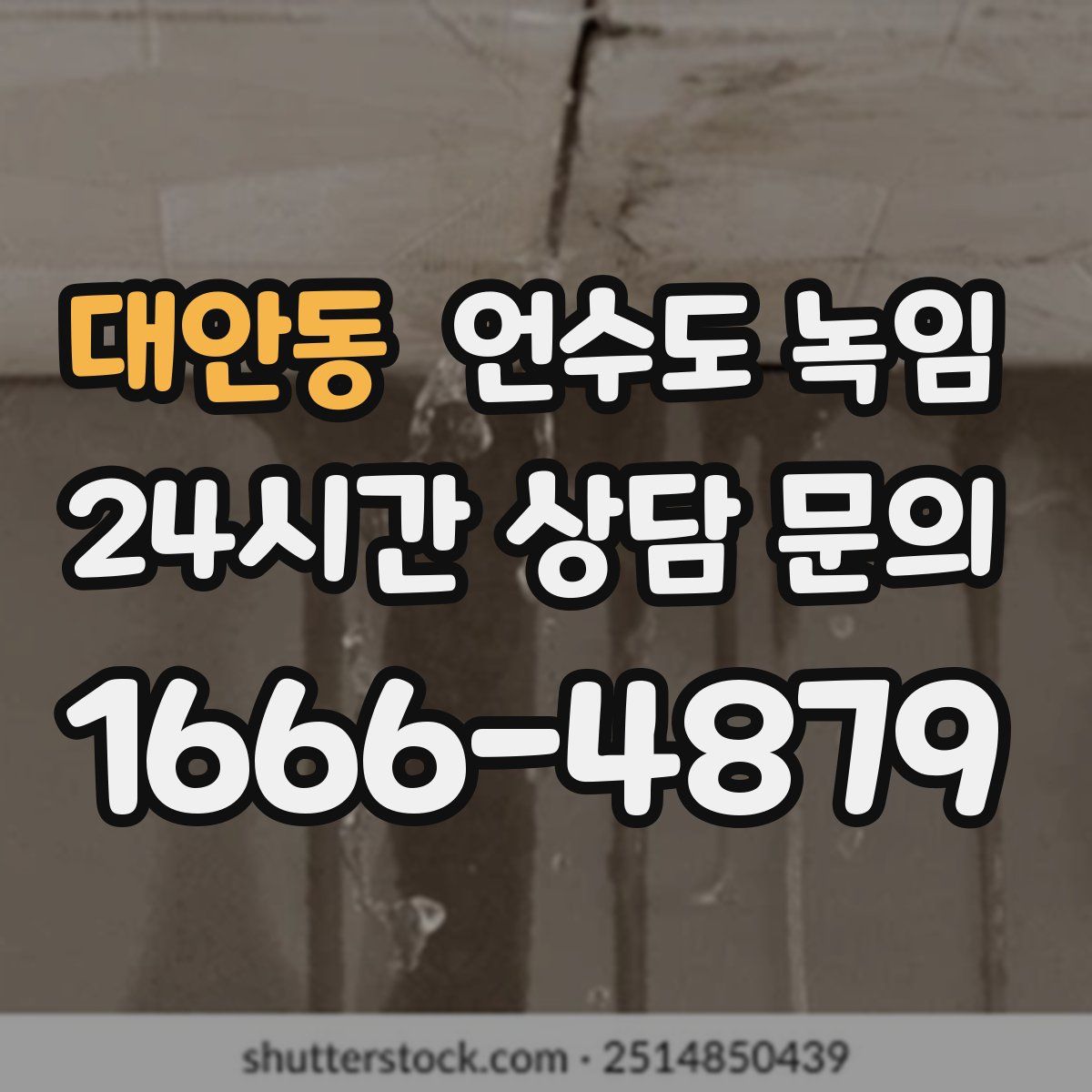 대안동 언수도 녹임