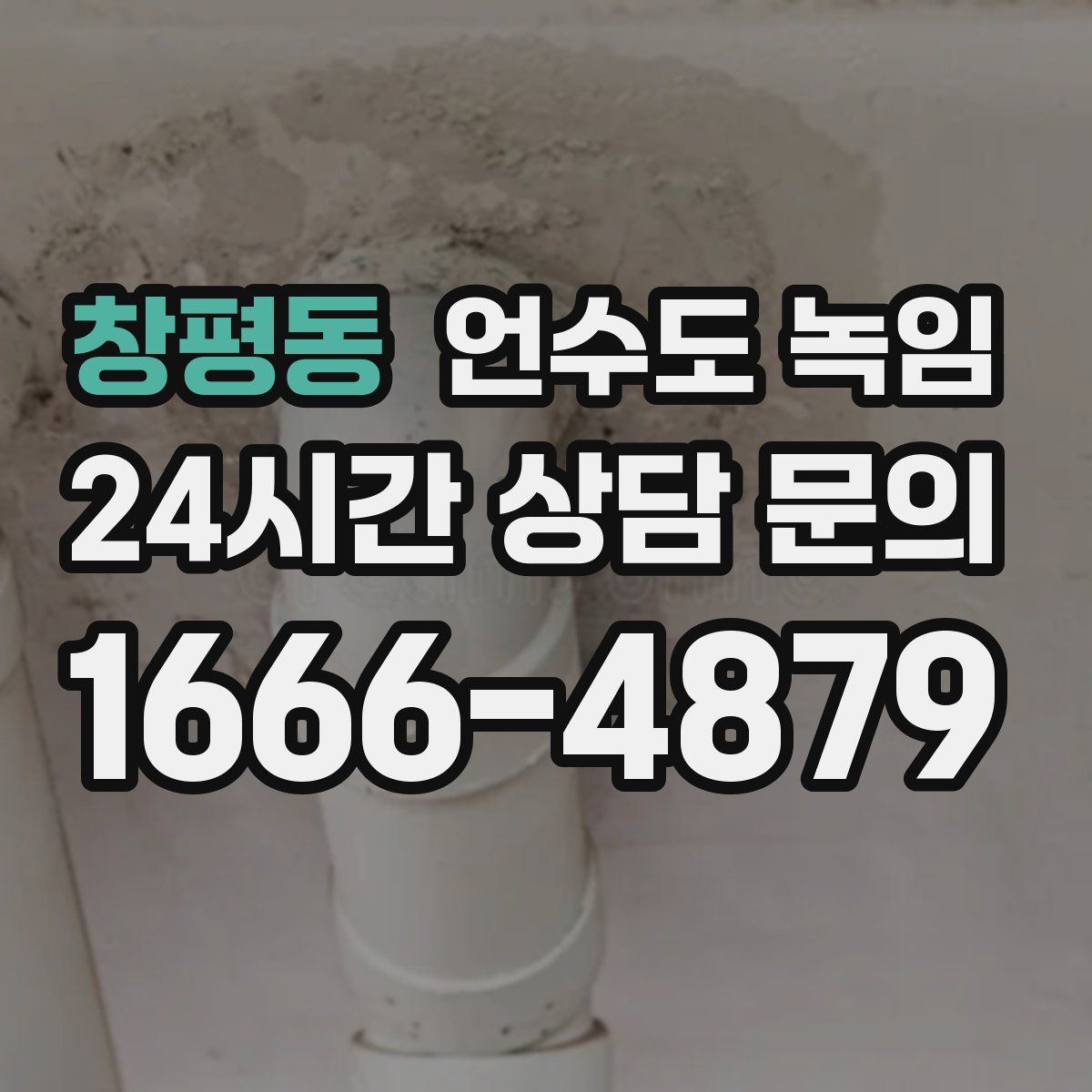 창평동 언수도 녹임