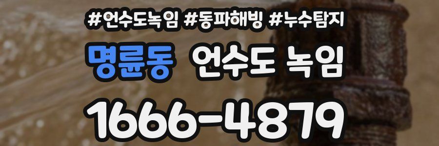 명륜동 언수도 녹임