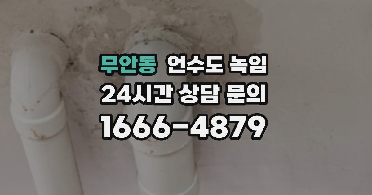 무안동 언수도 녹임