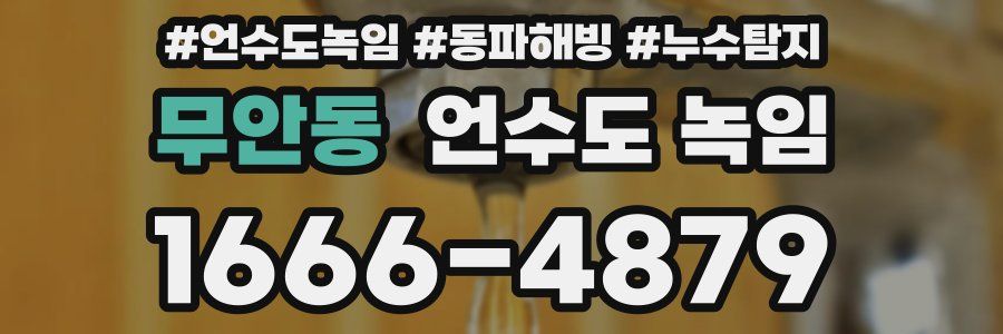 무안동 언수도 녹임