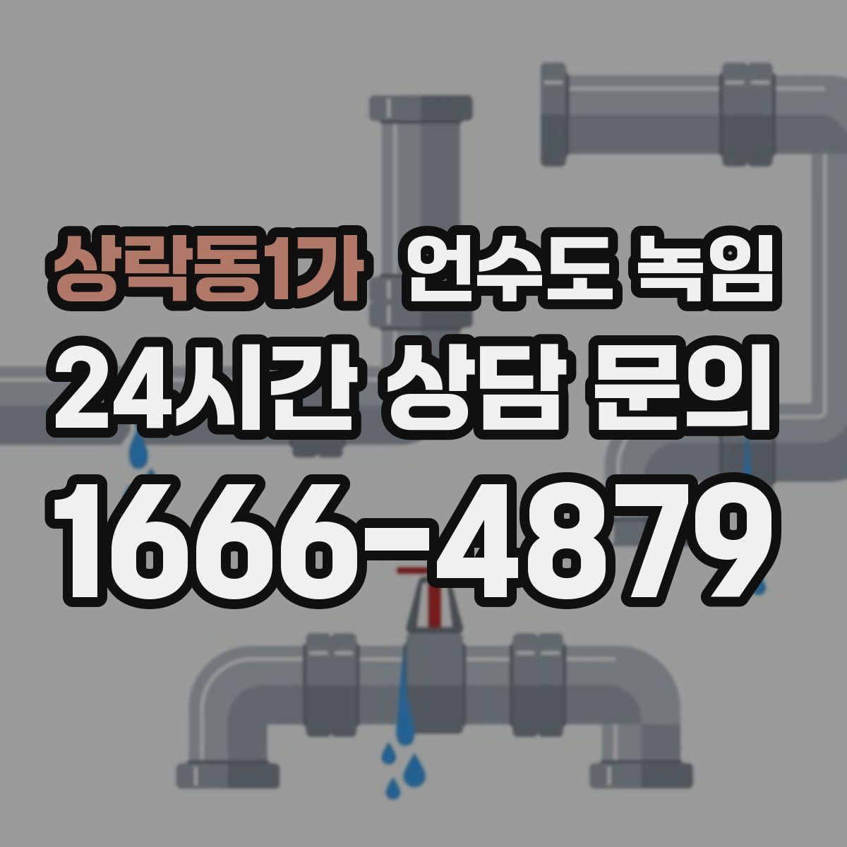 상락동1가 언수도 녹임
