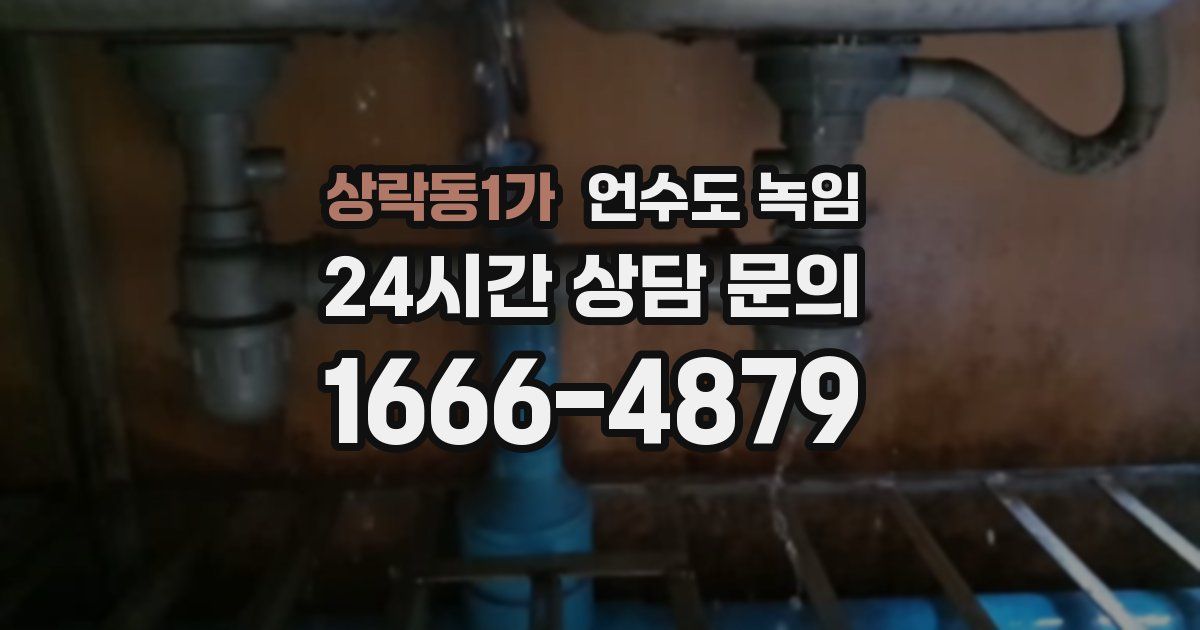 상락동1가 언수도 녹임