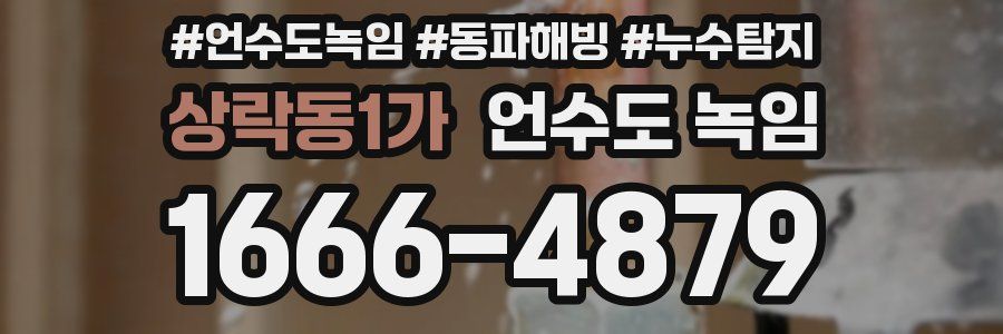 상락동1가 언수도 녹임