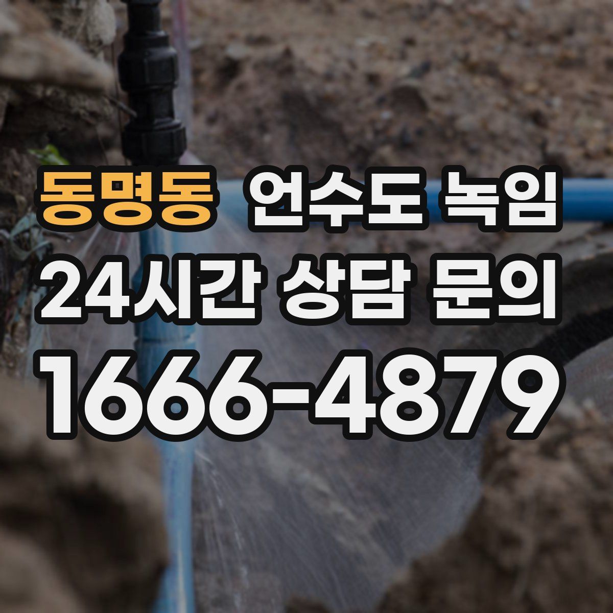 동명동 언수도 녹임