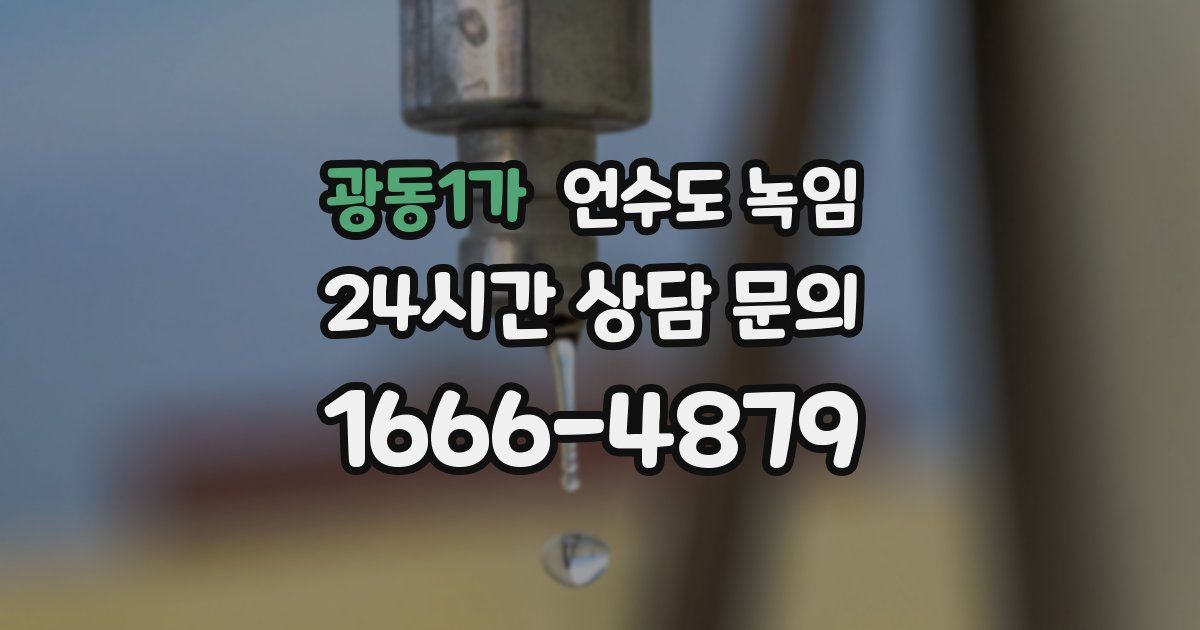광동1가 언수도 녹임