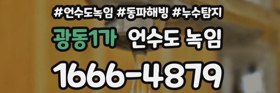 광동1가 언수도 녹임