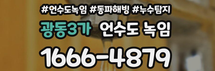 광동3가 언수도 녹임