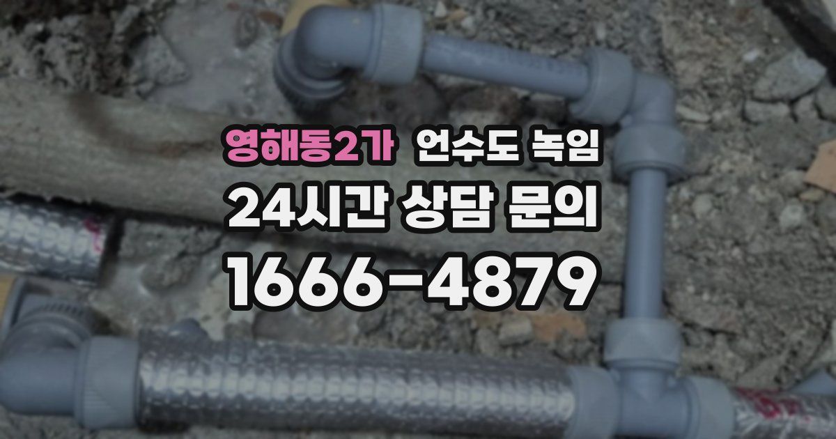 영해동2가 언수도 녹임