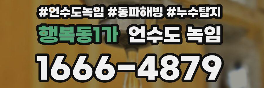 행복동1가 언수도 녹임