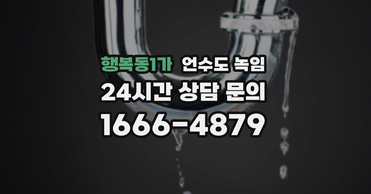 행복동1가 언수도 녹임