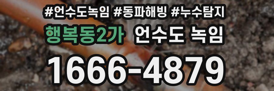 행복동2가 언수도 녹임