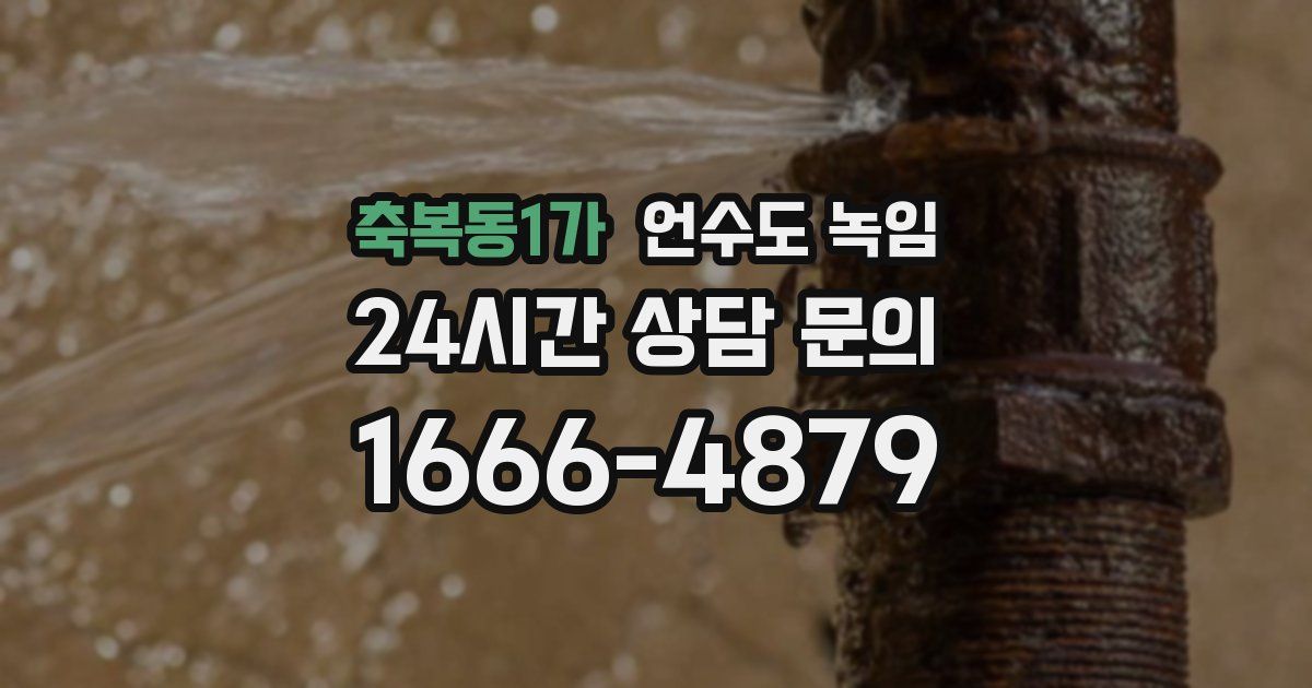 축복동1가 언수도 녹임