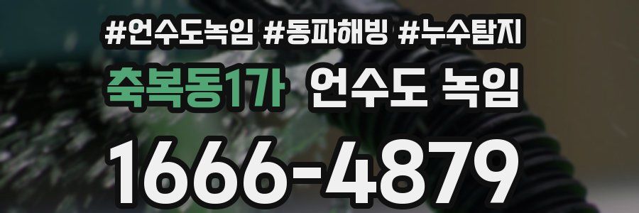 축복동1가 언수도 녹임