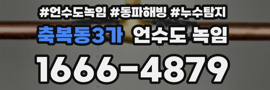 축복동3가 언수도 녹임