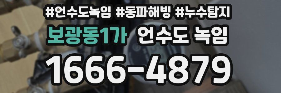 보광동1가 언수도 녹임