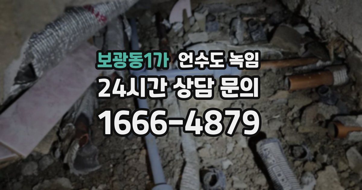 보광동1가 언수도 녹임