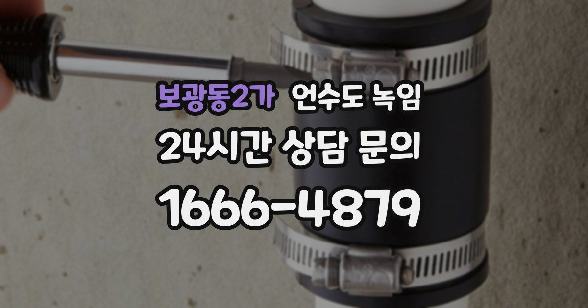 보광동2가 언수도 녹임