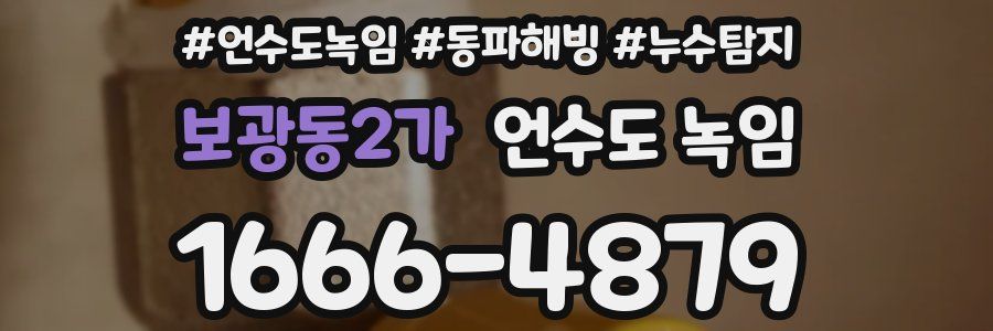 보광동2가 언수도 녹임