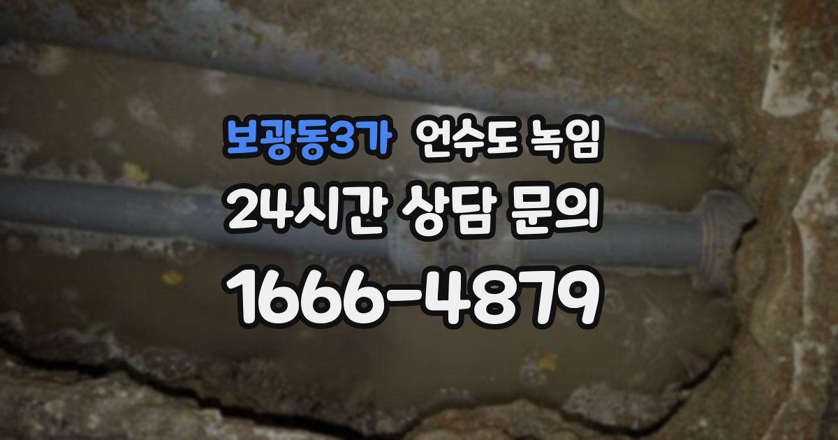 보광동3가 언수도 녹임
