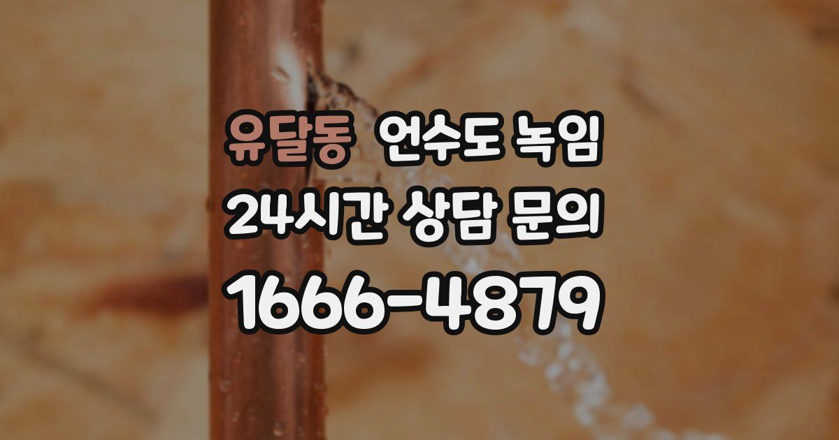 유달동 언수도 녹임