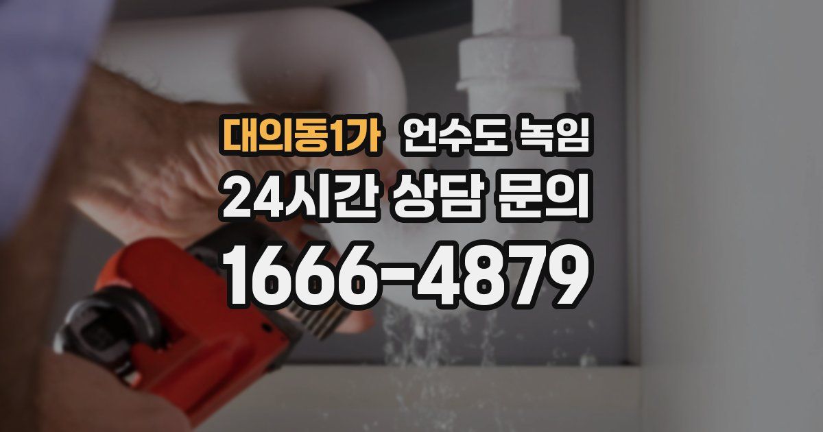 대의동1가 언수도 녹임