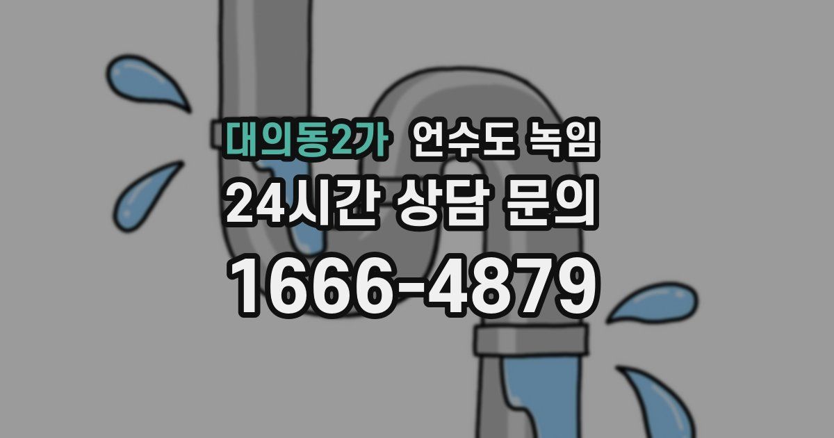 대의동2가 언수도 녹임