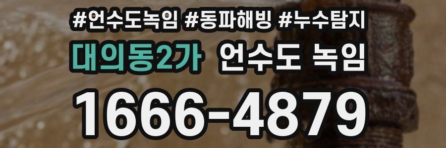 대의동2가 언수도 녹임