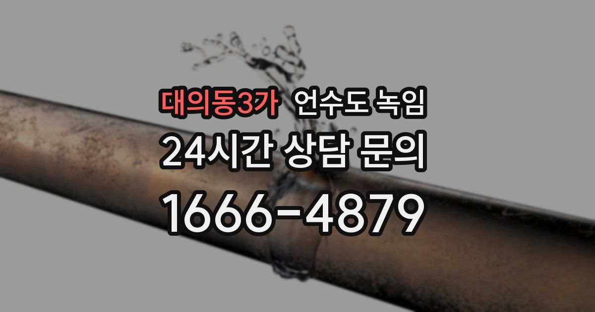 대의동3가 언수도 녹임