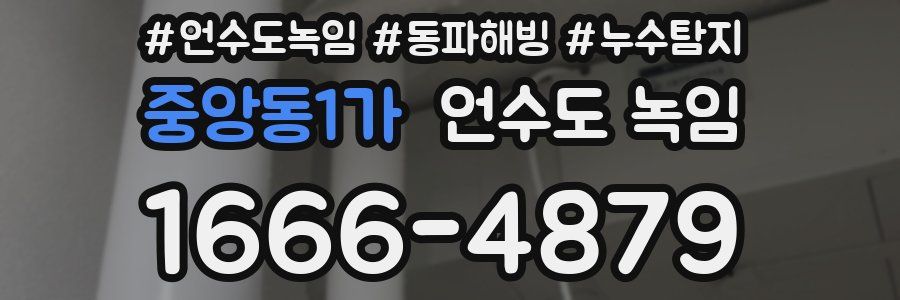 중앙동1가 언수도 녹임