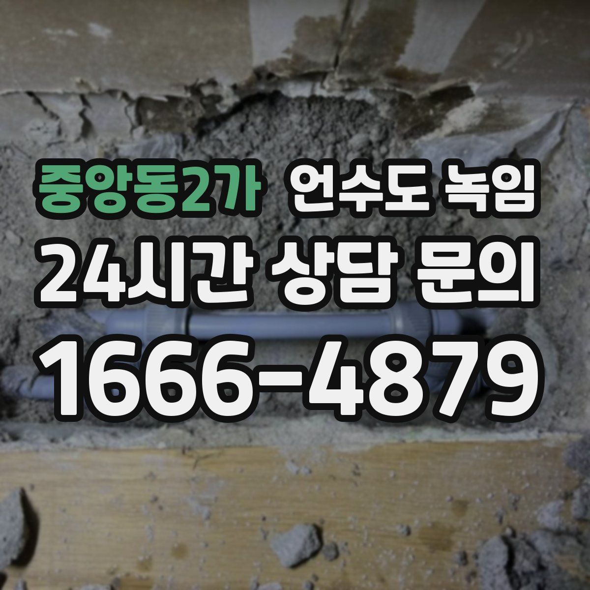 중앙동2가 언수도 녹임