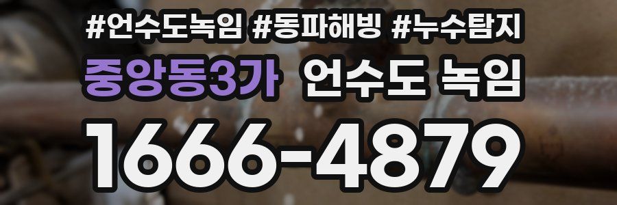 중앙동3가 언수도 녹임