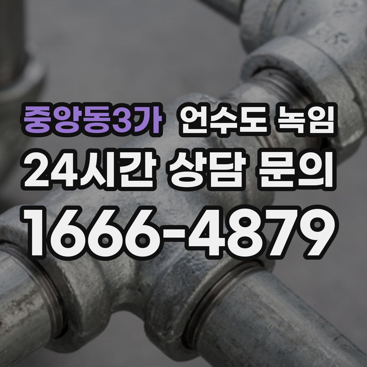 중앙동3가 언수도 녹임